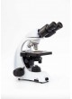 Binoküler Mikroskop (Petunia MCX50)